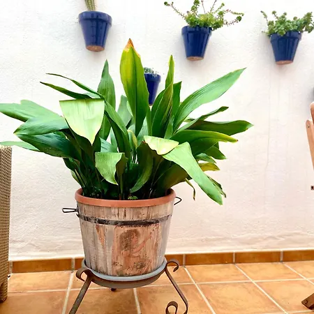 Apartment Casa Azul