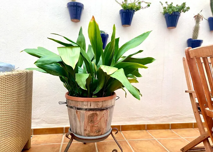 דירה Casa Azul