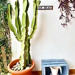 Casa Azul
