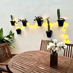 Casa Azul *